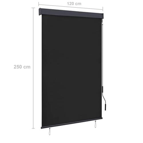 Udendørs rullegardin 120x250 cm antracitgrå