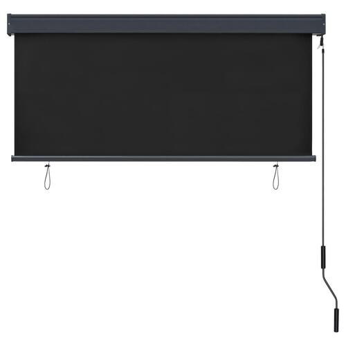 Udendørs rullegardin 140x250 cm antracitgrå