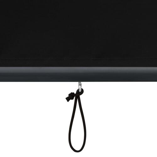 Udendørs rullegardin 140x250 cm antracitgrå