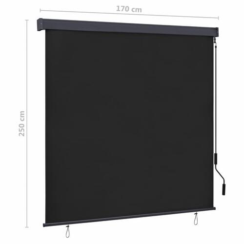 Udendørs rullegardin 170x250 cm antracitgrå