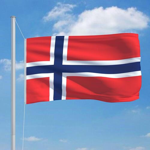 Norsk flag 90x150 cm