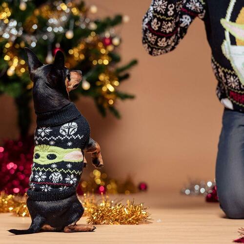 Sweater til hund The Mandalorian XXS