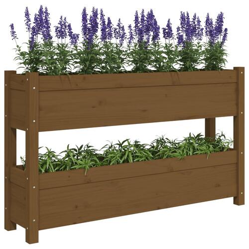 Plantekasse 112x25x66 cm massivt fyrretræ gyldenbrun