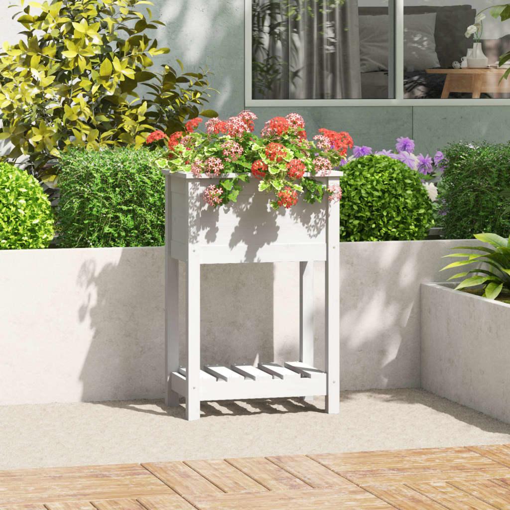 Plantekasse med hylde 54x34,5x81 cm massivt fyrretræ hvid