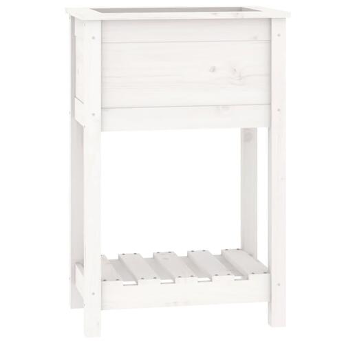 Plantekasse med hylde 54x34,5x81 cm massivt fyrretræ hvid