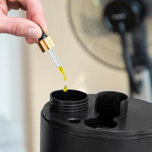 Spray ventilator med fod med fjernbetjening Mistinn Sort 90 W 2,8 L