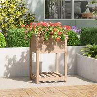 Plantekasse med hylde 54x54x81 cm massivt fyrretræ