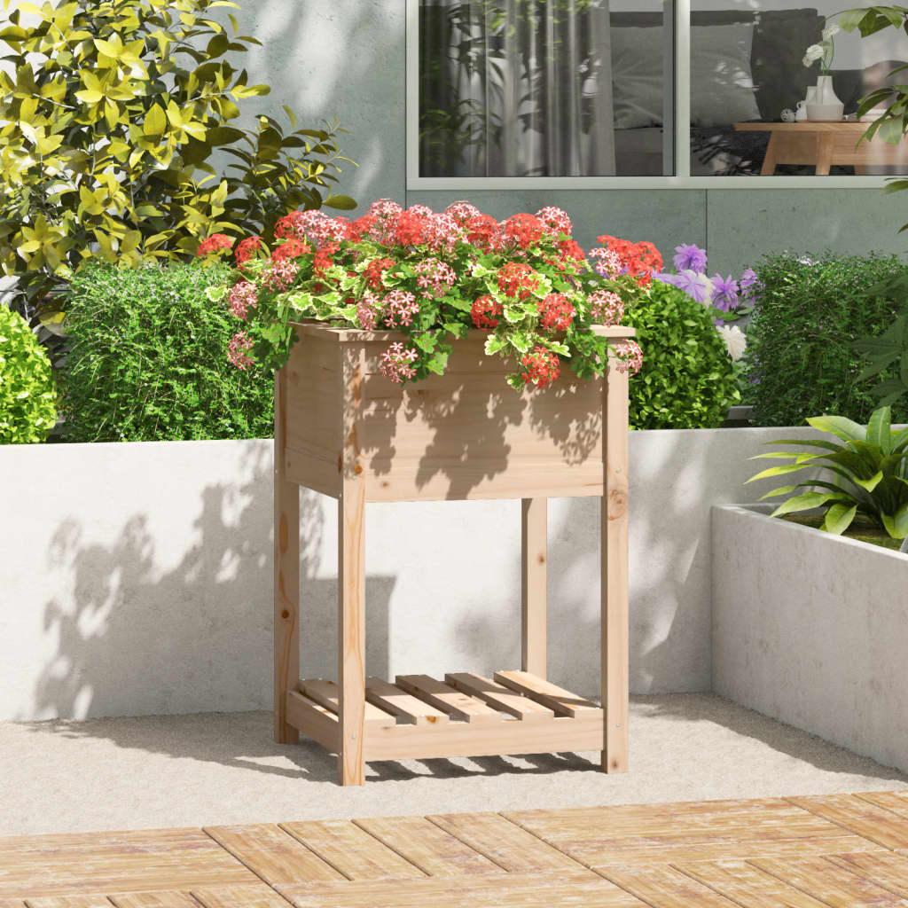 Plantekasse med hylde 54x54x81 cm massivt fyrretræ