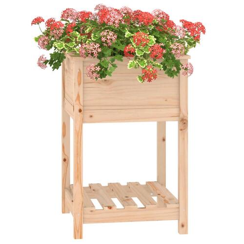 Plantekasse med hylde 54x54x81 cm massivt fyrretræ