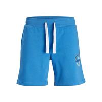 Sport shorts til mænd Jack & Jones JPSTANDY SWEAT 12225087 Blå XL