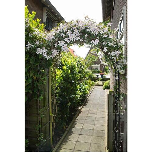 havebue 229x38x113 cm metal sort