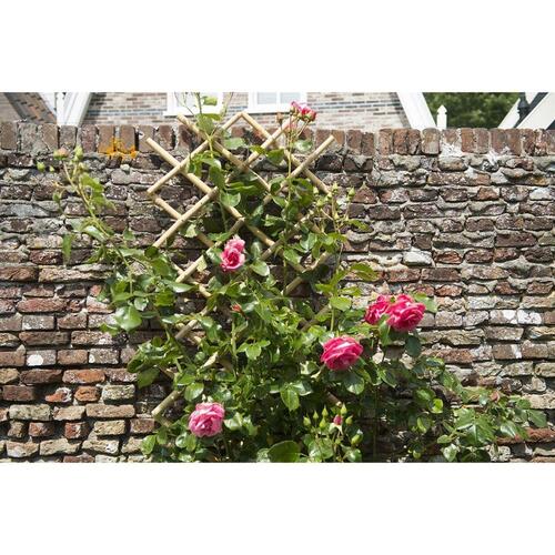 haveespalier 45x180 cm bambus 6040720