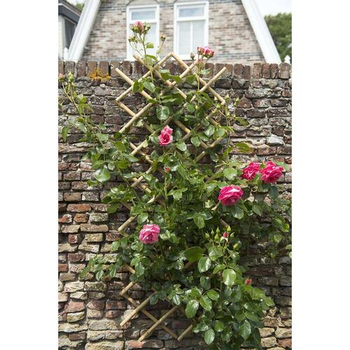 haveespalier 70x180 cm bambus 6040721