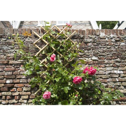 haveespalier 70x180 cm bambus 6040721