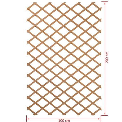 haveespalier 100x200 cm træ 6041703