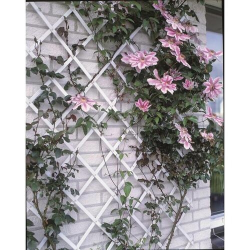 haveespalier 50x150 cm PVC hvid 6040701