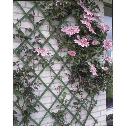 haveespalier 50x150 cm PVC grøn 6040702