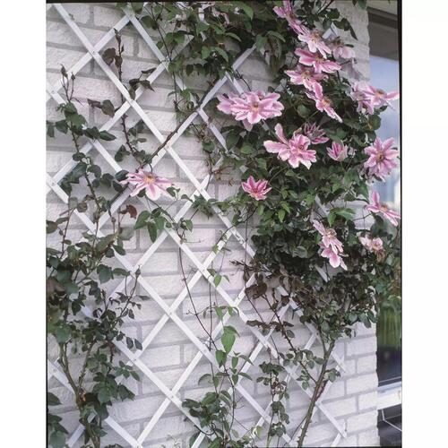 haveespalier 100x200 cm PVC hvid 6040703