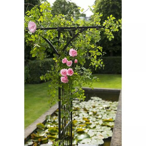 havebue 114 x 66 x 232 cm metal sort