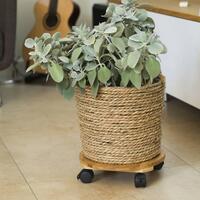 plantevogn Ø30 cm rund BPC brun
