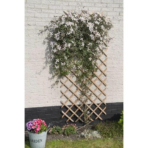 haveespalier 50x150 cm træ naturfarvet