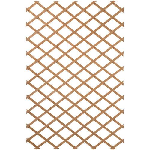 espalier træ 100 x 300 cm brun