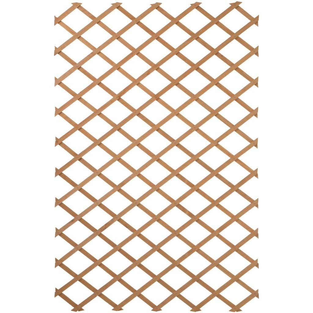 espalier træ 100 x 300 cm brun