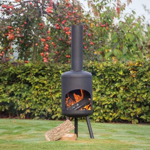 pejs Fuego lille 81070