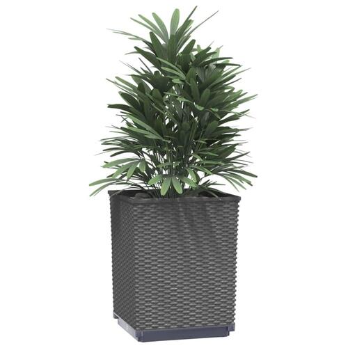 Plantekasser 4 stk. 30x30x37 cm polypropylen sort