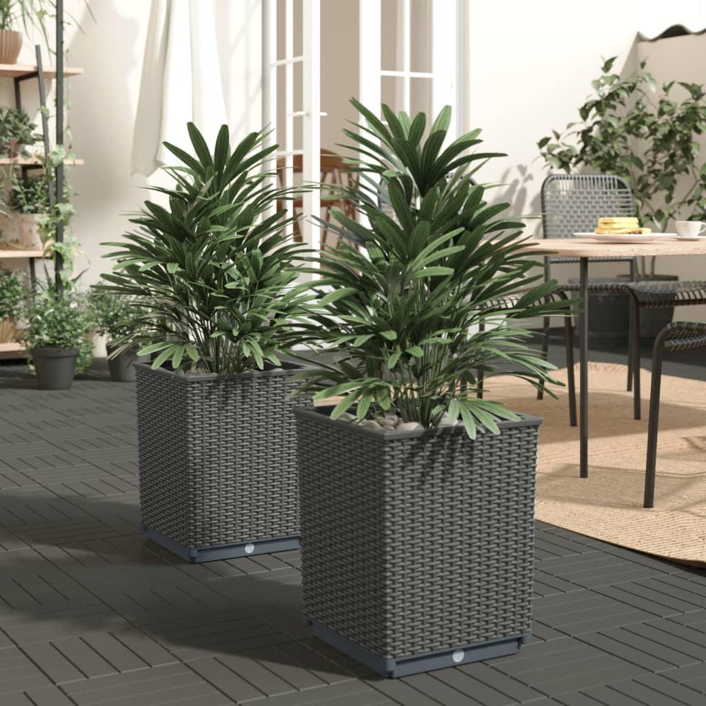 Plantekasser 2 stk. 30x30x37 cm polypropylen sort