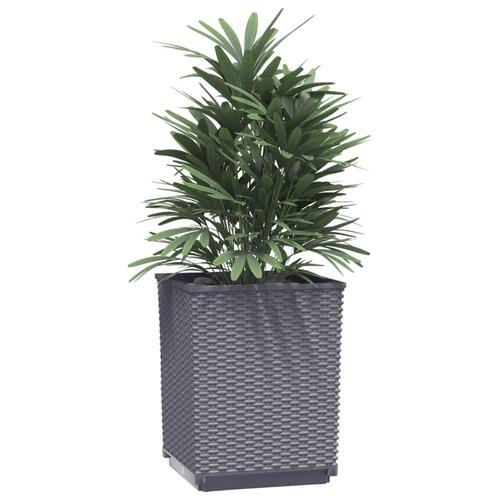 Plantekasser 4 stk. 30x30x37 cm polypropylen mørkegrå