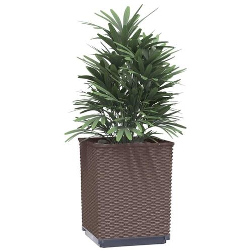 Plantekasser 2 stk. 30x30x37 cm polypropylen brun