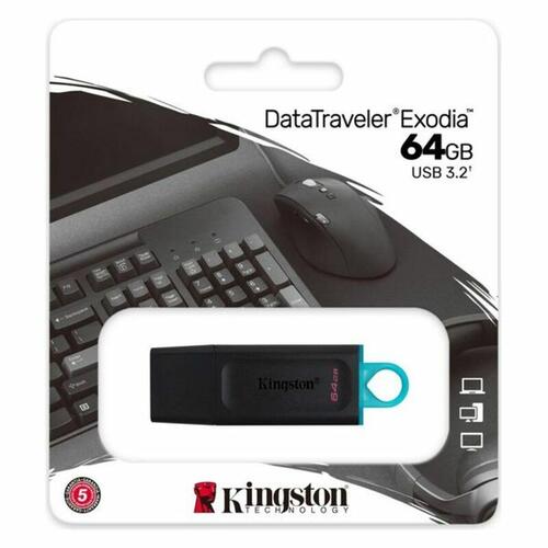 USB-nøgle Kingston DataTraveler DTX 128 GB (USB 3.2, sort)
