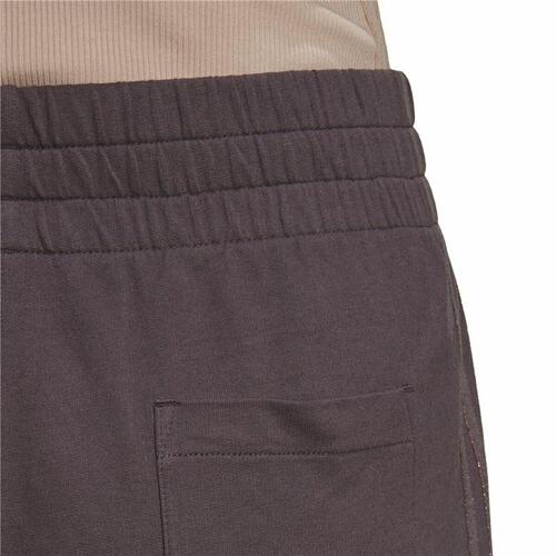 Sport shorts til kvinder Adidas Originals 3 stripes Brun 38
