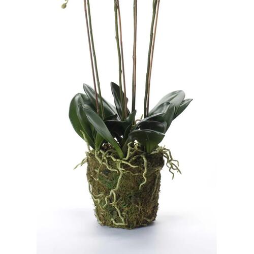 Emerald kunstig phalaenopsisorkidé i hvid med mos 90 cm 20.355
