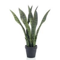 Emerald kunstig bajonetplante 55 cm i krukke