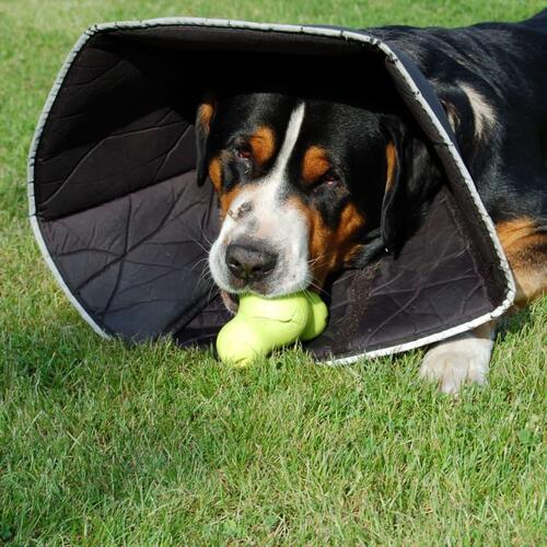 All Four Paws e-halskrave Comfy Cone L 25 cm sort