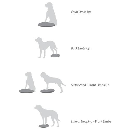 FitPAWS balancebræt til kæledyr 36 cm blå