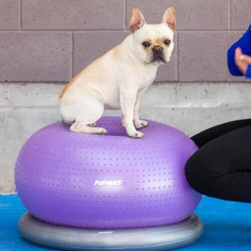 FitPaws balancebold til kæledyr TRAX Donut 55 cm lilla