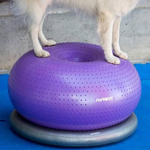 FitPaws balancebold til kæledyr TRAX Donut 55 cm lilla