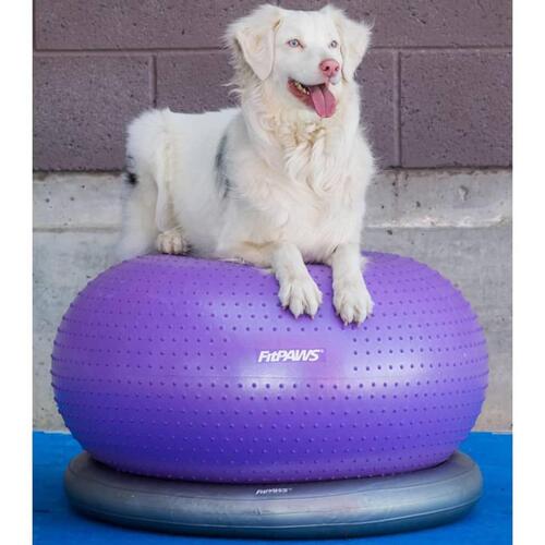 FitPaws balancebold til kæledyr TRAX Donut 55 cm lilla
