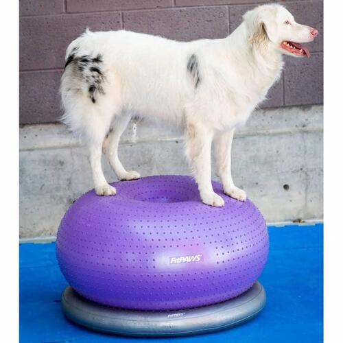 FitPaws balancebold til kæledyr TRAX Donut 55 cm lilla