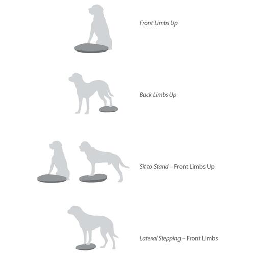 FitPAWS balancebræt til kæledyr 56 cm blå