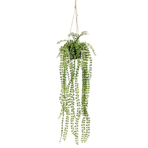 Emerald hængefigen i krukke 60 cm