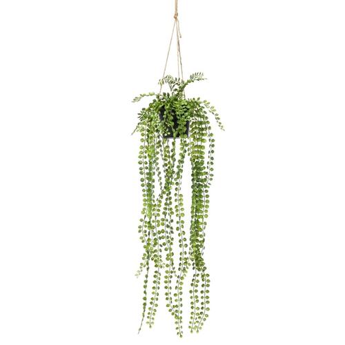 Emerald hængefigen i krukke 60 cm
