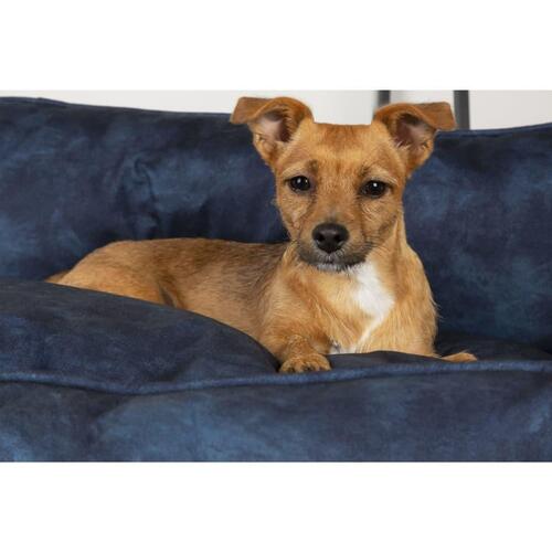 Scruffs & Tramps hundeseng Kensington 60x50 cm str. M marineblå