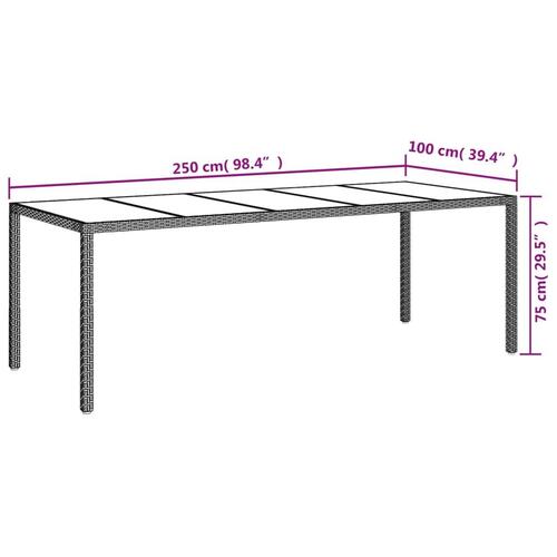 Havebord 250x100x75 cm polyrattan og hærdet glas hvid