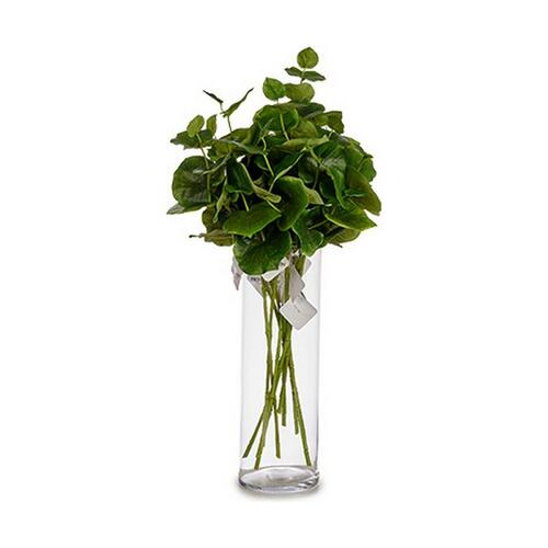 Gren Plastik 75 cm Ark (12 enheder)