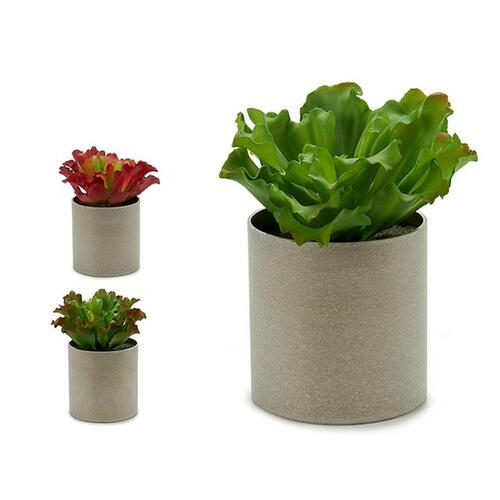 Dekorativ plante 20 x 25 x 20 cm (6 enheder)