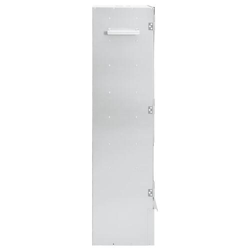 Rygeovn med røgflis 44,5x29x110 cm galvaniseret stål